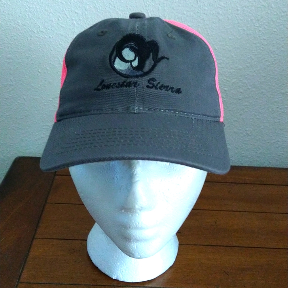 NWOT Ladies Trucker Ball cap